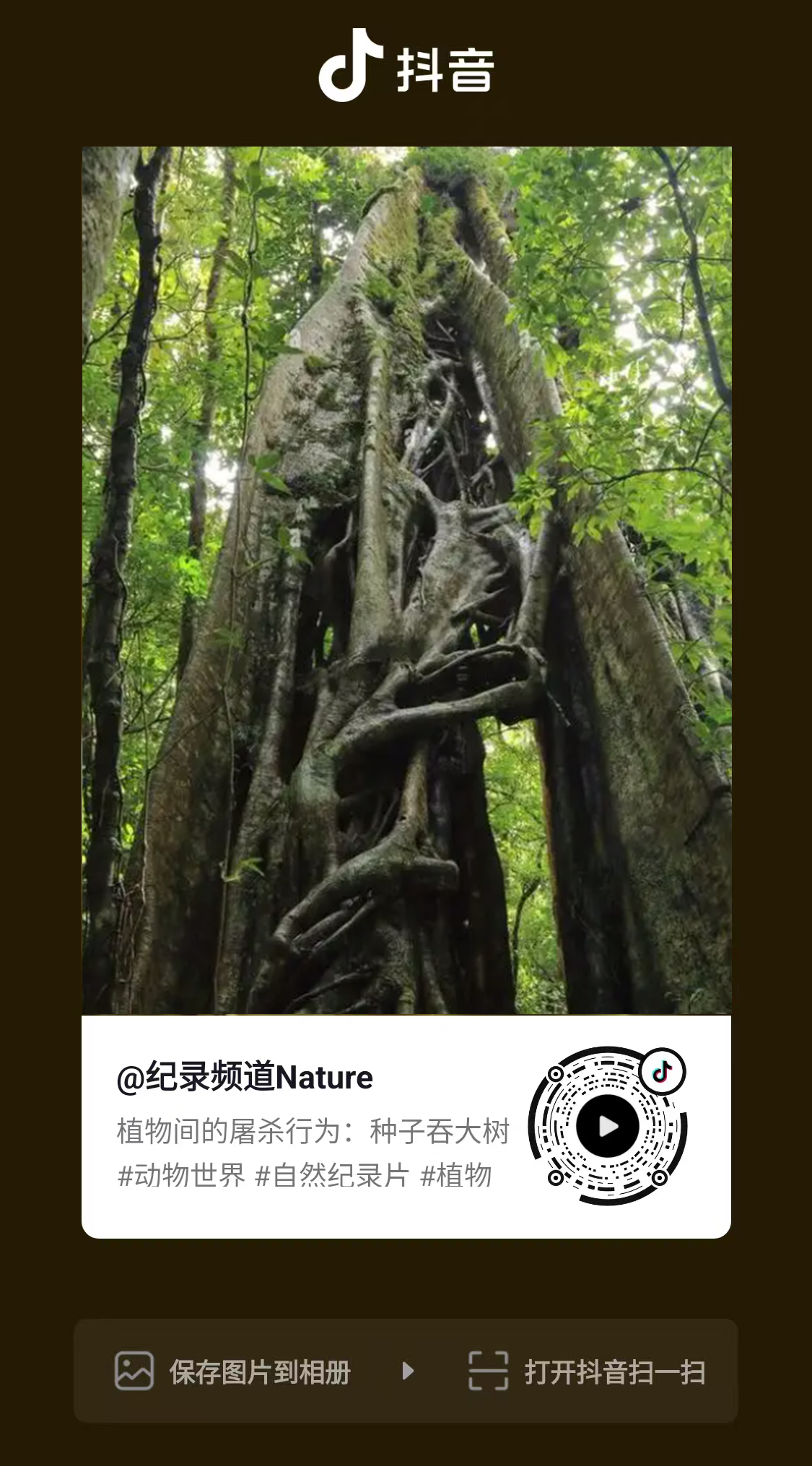 微信图片_20250617011127.jpg